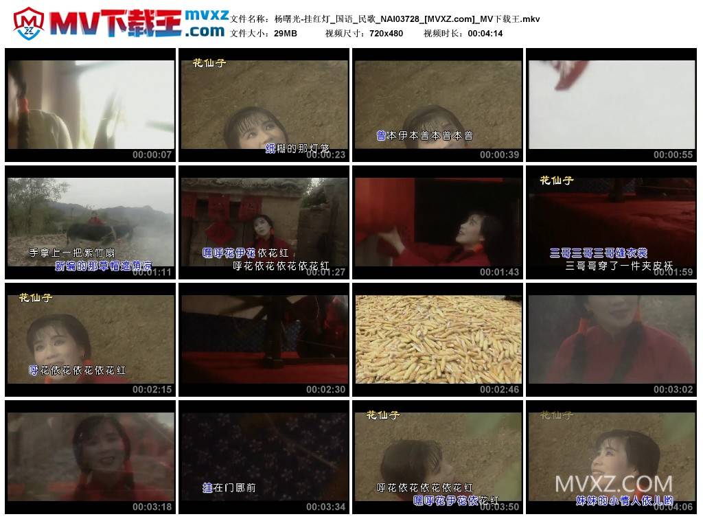 杨曙光-挂红灯_国语_民歌_NAI03728